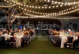 გარე განათება გირლიანდები გირლანდები ეზოს განათება თბილისი - photo 1