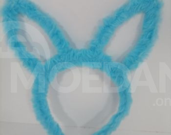 Ушки кролика светятся Тбилиси - изображение 3