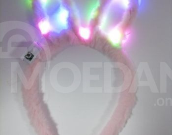 Ушки кролика светятся Тбилиси - изображение 2