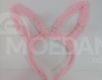 Ушки кролика светятся Тбилиси - изображение 4