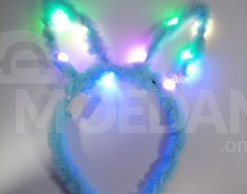 Ушки кролика светятся Тбилиси - изображение 1