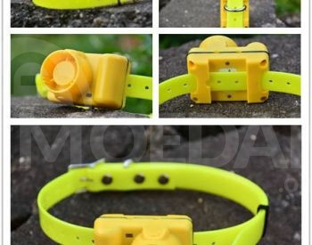 Ელექტრო საყელო ბიპერი თბილისი - photo 6