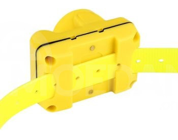 Ელექტრო საყელო ბიპერი თბილისი - photo 2