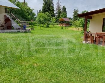  თბილისი - photo 3