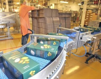 Cereal production equipment Tbilisi - photo 1