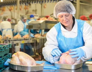 Завод по производству куриной продукции Тбилиси - изображение 2