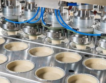 Mustard bottling line Tbilisi - photo 2