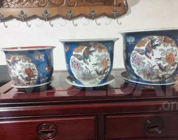 flower beds Tbilisi - photo 3