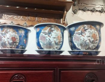 flower beds Tbilisi - photo 4