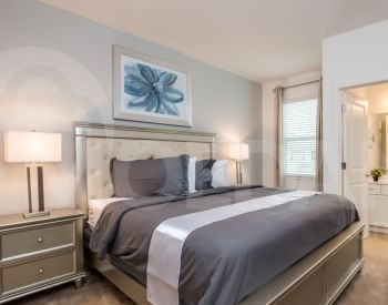  თბილისი - photo 4