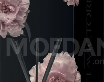 ჰაერის არომატიზატორი Tasotti REED DIFFUSER თბილისი - photo 5