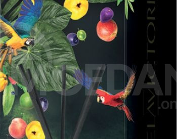 ჰაერის არომატიზატორი Tasotti REED DIFFUSER თბილისი - photo 3