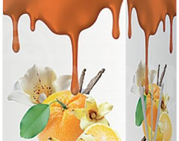 ჰაერის არომატიზატორი Tasotti Queens Reed Diffuser თბილისი - photo 5