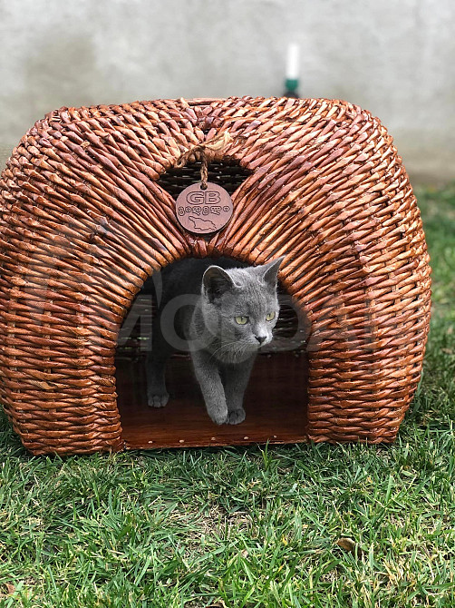 იყიდება ხელნაკეთი სახლი ფისოებისთვის თბილისი - photo 1