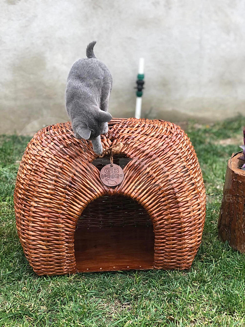 იყიდება ხელნაკეთი სახლი ფისოებისთვის თბილისი - photo 3