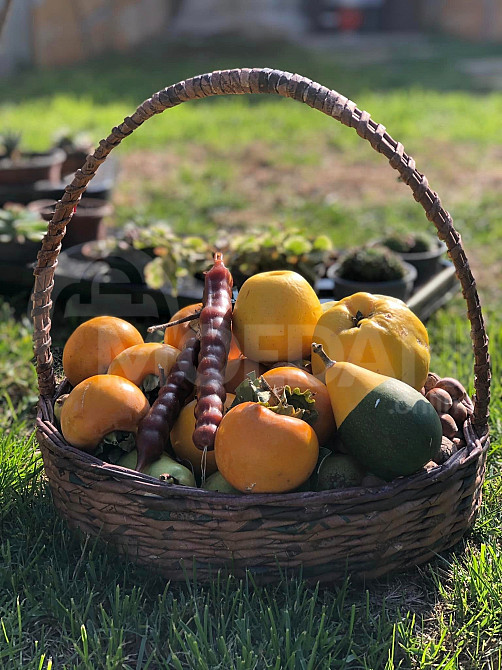 იყიდება ხელნაკეთი კალათები თბილისი - photo 1