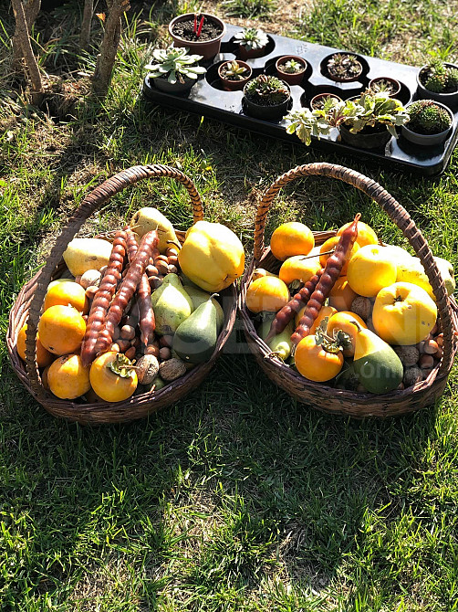 იყიდება ხელნაკეთი კალათები თბილისი - photo 2