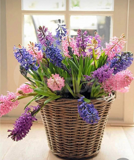 Handmade decorative flower pot for sale Tbilisi - photo 1