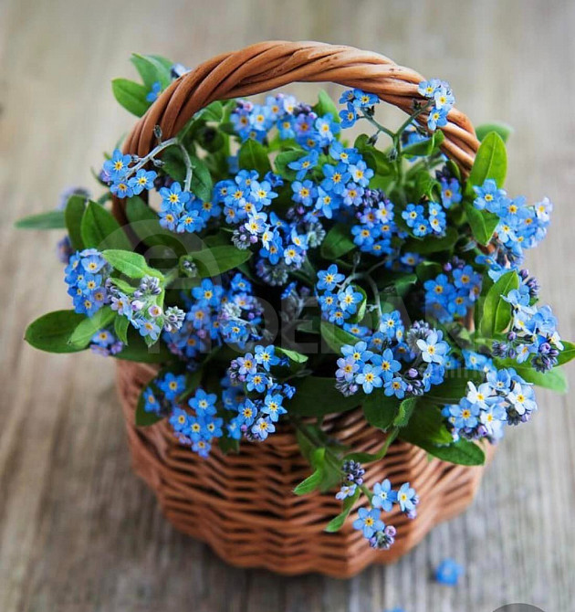 Handmade decorative flower pot for sale Tbilisi - photo 1