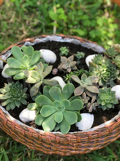 იყიდება ხელნაკეთი კალათები თბილისი - photo 2