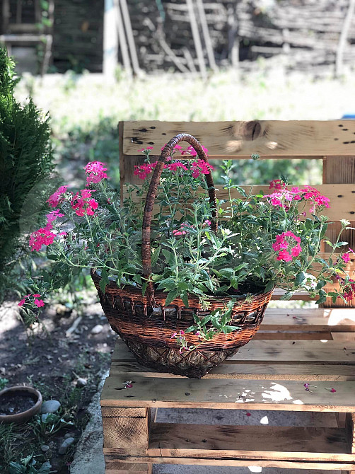 იყიდება ხელნაკეთი კალათები თბილისი - photo 3