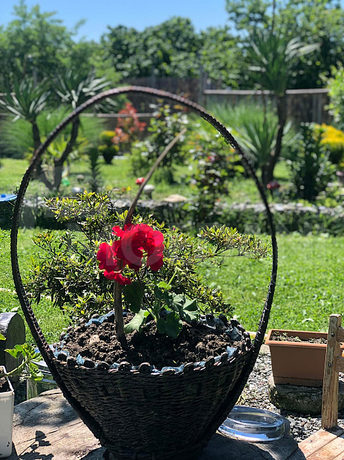 Handmade decorative flower basket for sale Tbilisi - photo 1