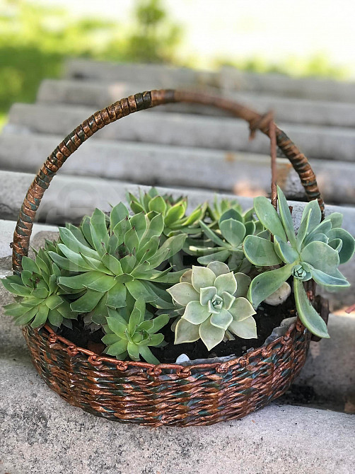 Handmade decorative flower basket for sale Tbilisi - photo 1