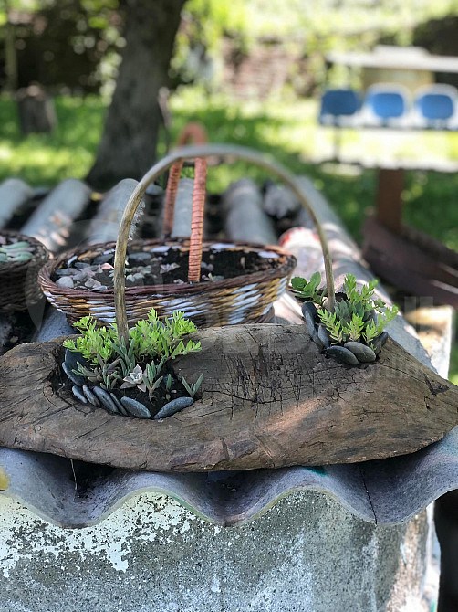 Handmade decorative flower basket for sale Tbilisi - photo 2