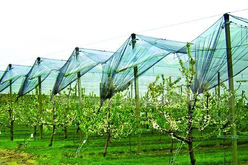 საჩრდილო ბადე თბილისი - photo 1