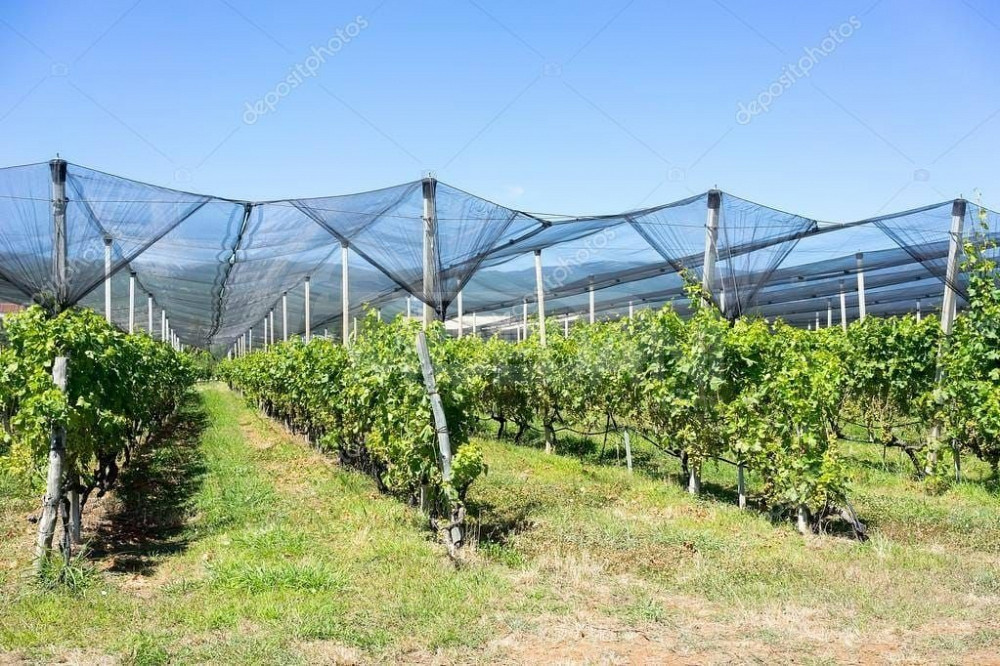 საჩრდილო ბადე თბილისი - photo 3