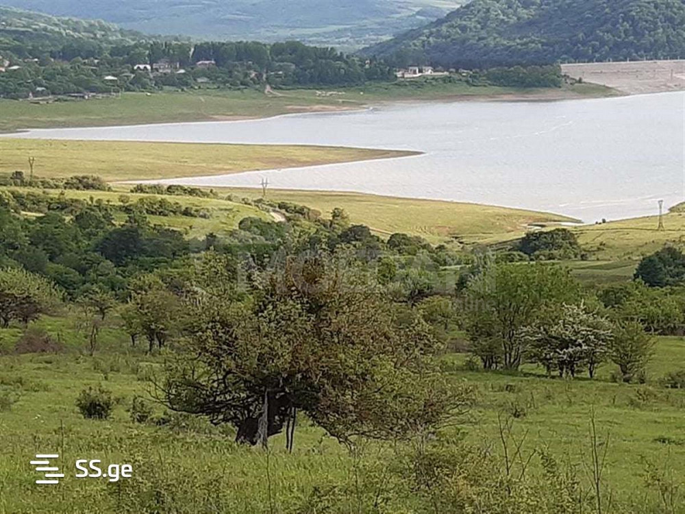 Продам земельный участок 3165м² Тбилиси - изображение 1