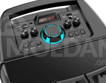 Колонка для караоке с беспроводным микрофоном Тбилиси - изображение 3