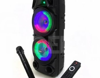 Колонка для караоке с беспроводным микрофоном Тбилиси - изображение 2