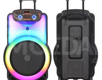 Динамик Bluetooth NDR с 2 беспроводными микрофонами Тбилиси - изображение 2