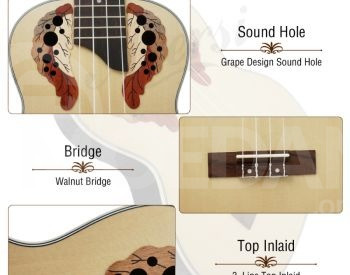 Aiersi Ovation Ukulele 21 Inch Ukulele Tbilisi - photo 5