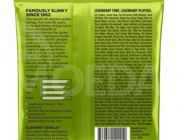 Ernie Ball 2221 Regular Slinky Strings ელექტრო გიტარის სიმები თბილისი - photo 2