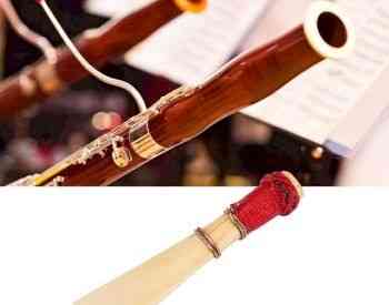 Bnineteenteam Bassoon Reed Medium Soft ფაგოტის ტროსტი Тбилиси