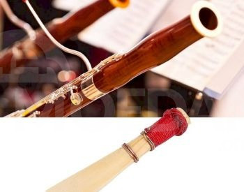 Bnineteenteam Bassoon Reed Medium Soft Bassoon Trost Tbilisi - photo 1