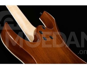 Ibanez GRGR221PA-AQB Electric Guitar Electric guitar Tbilisi - photo 3