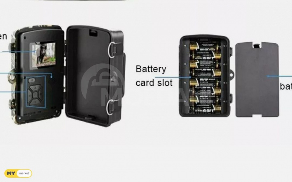 Phototrap Phototrap Tbilisi - photo 5