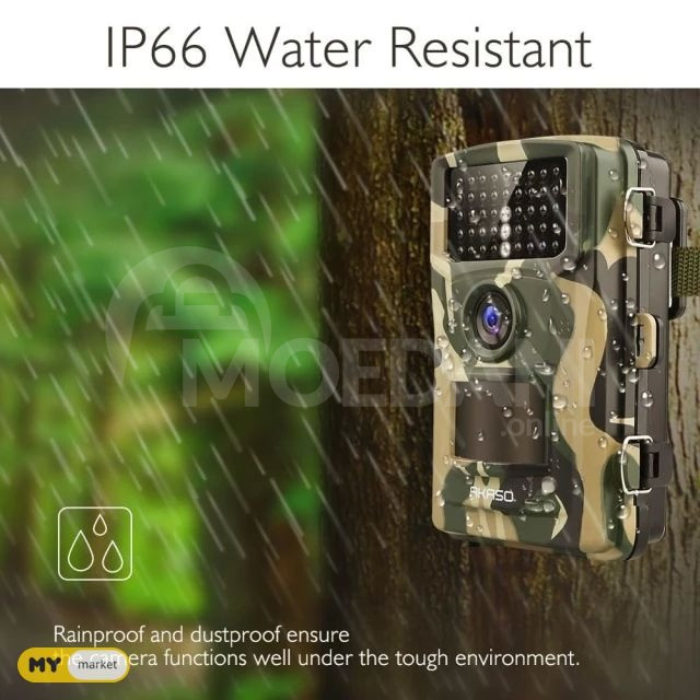 Phototrap Phototrap Tbilisi - photo 2