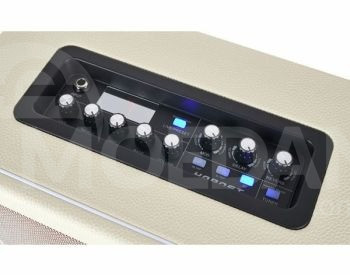 Mooer Hornet 30W Guitar Modeling Amp გიტარის კომბი თბილისი - photo 6