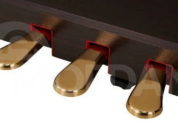 Электропиано Kawai CN-301 R Digital Piano Тбилиси - изображение 4