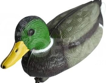 Stuffed ducks Tbilisi - photo 3