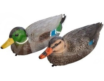 Stuffed ducks Tbilisi - photo 2