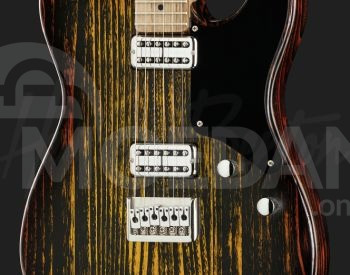 Harley Benton TE-90FLT Tele Electric Guitar ელექტრო გიტარა თბილისი - photo 2