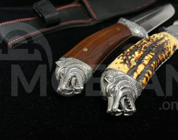 Დანა დანა თბილისი - photo 1