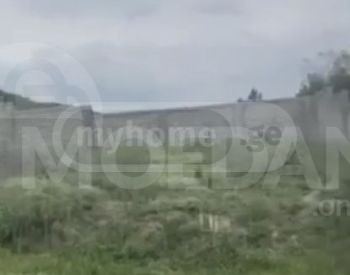 Agricultural land for sale in Dzegvi Tbilisi - photo 3