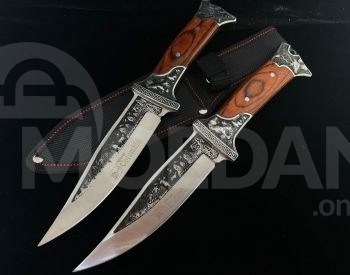 DANA COLUMBIA Tbilisi - photo 4