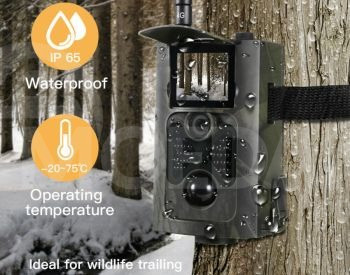 Photo/video trap Tbilisi - photo 4